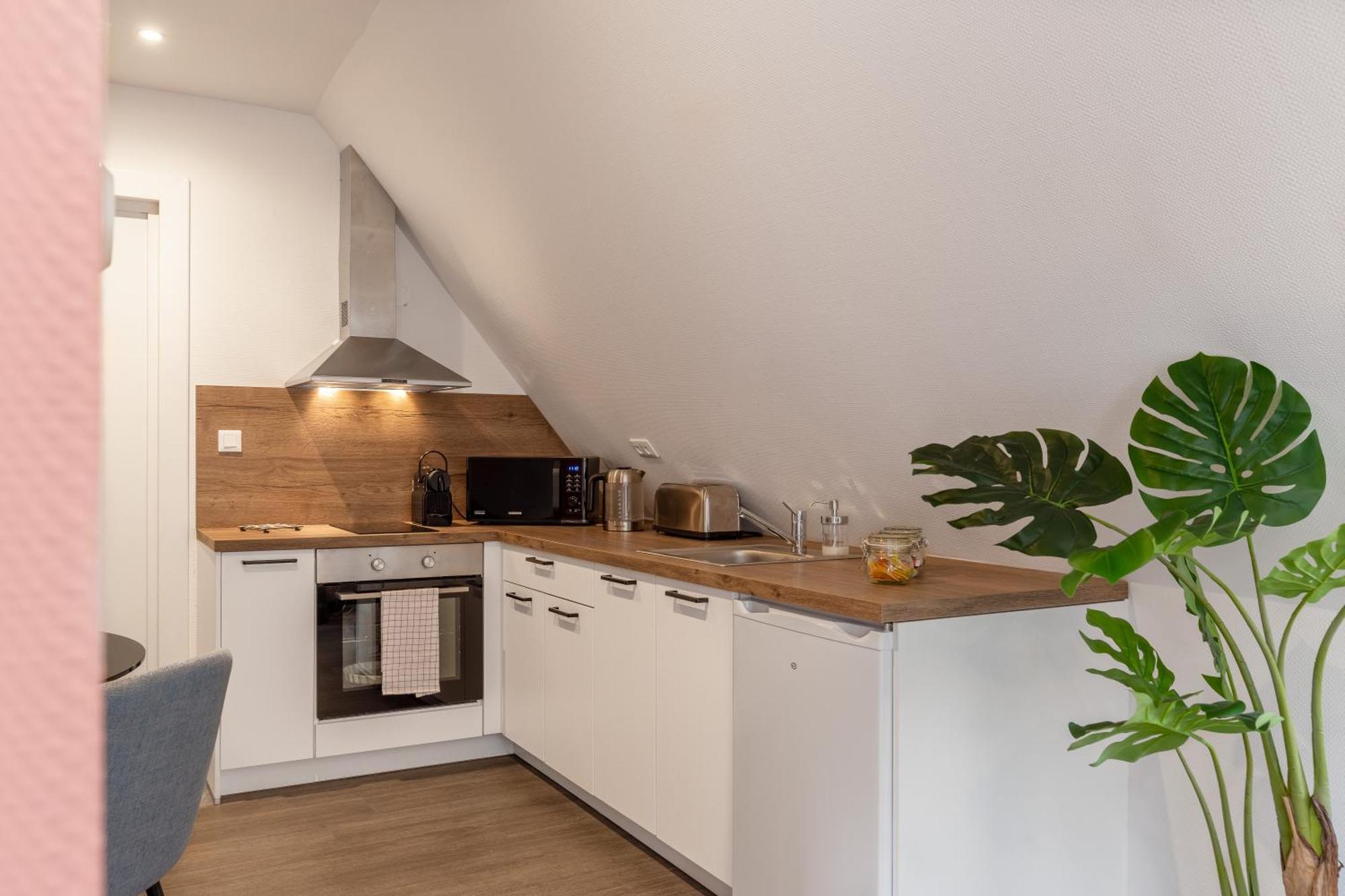 Travel Homes - Rapp, Charm In The Heart Of Colmar Exterior photo